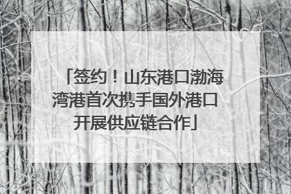 签约！山东港口渤海湾港首次携手国外港口开展供应链合作